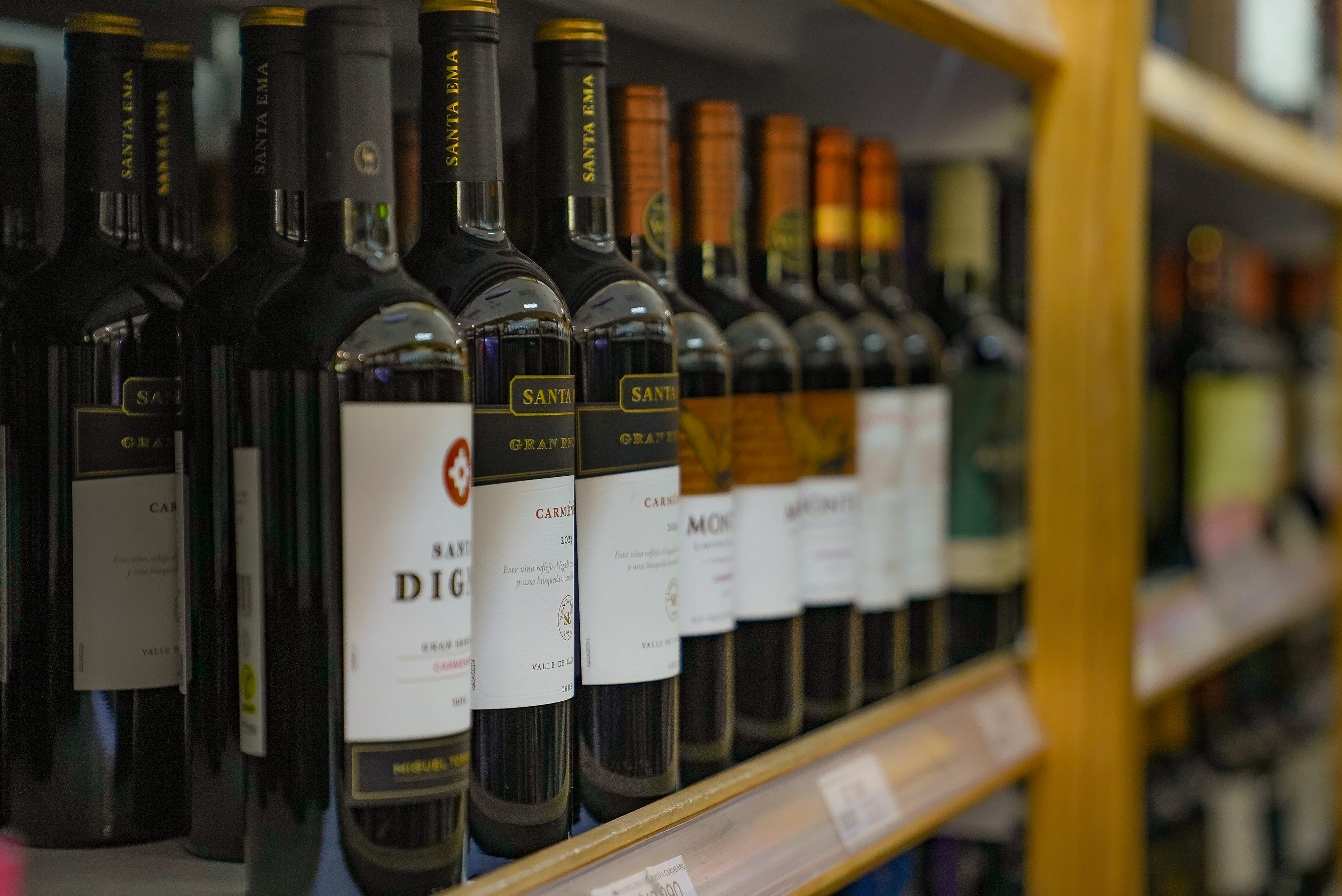 Cava de Vinos en Teja Market, Isla Teja, Valdivia